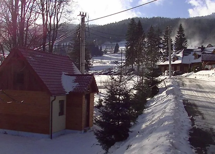 Gorski Czarna Gora Sienna (Klodzko)